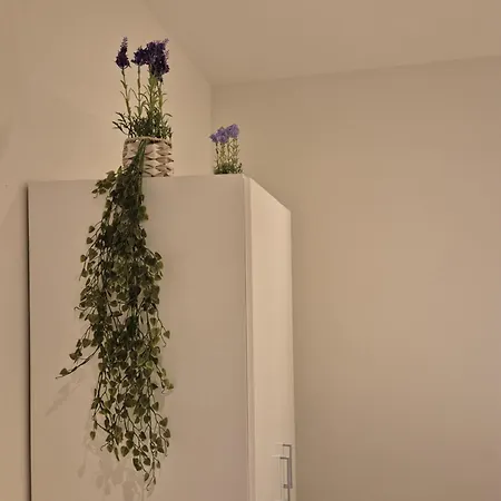 Alna 6 Apartment *